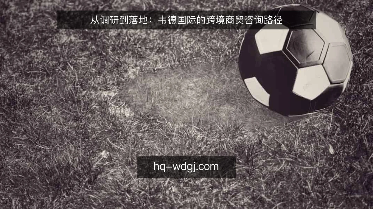 从调研到落地：韦德国际的跨境商贸咨询路径