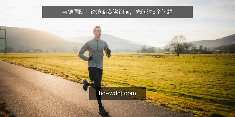 韦德国际:跨境商贸咨询前,先问这5个问题 — 韦德国际跨境商贸咨询适合哪些企业? 配图