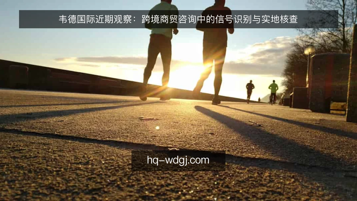 韦德国际近期观察：跨境商贸咨询中的信号识别与实地核查