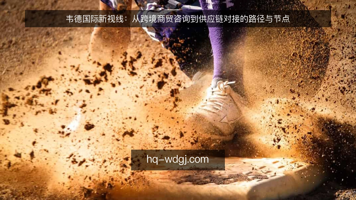韦德国际新视线：从跨境商贸咨询到供应链对接的路径与节点