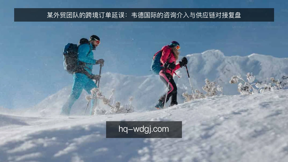 某外贸团队的跨境订单延误：韦德国际的咨询介入与供应链对接复盘
