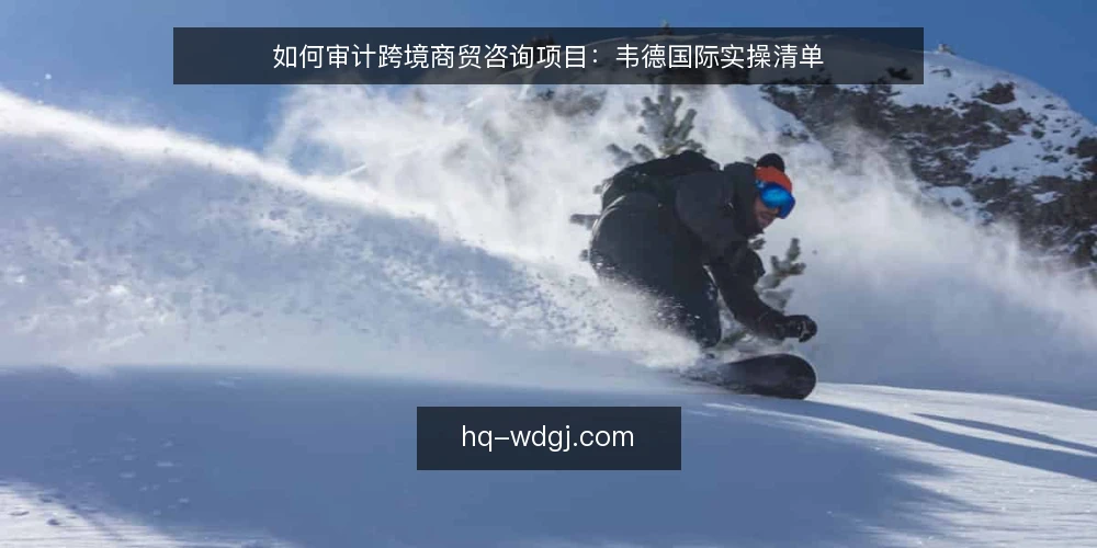 如何审计跨境商贸咨询项目:韦德国际实操清单 — 为什么现在要审计咨询项目 配图
