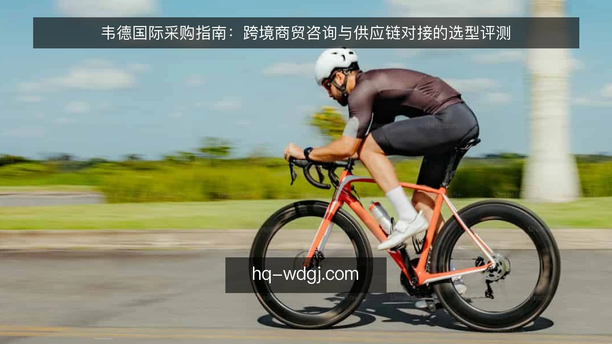 韦德国际采购指南：跨境商贸咨询与供应链对接的选型评测