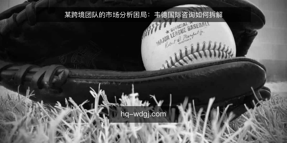 某跨境团队的市场分析困局：韦德国际咨询如何拆解 — 场景：某团队的市场分析卡点 配图