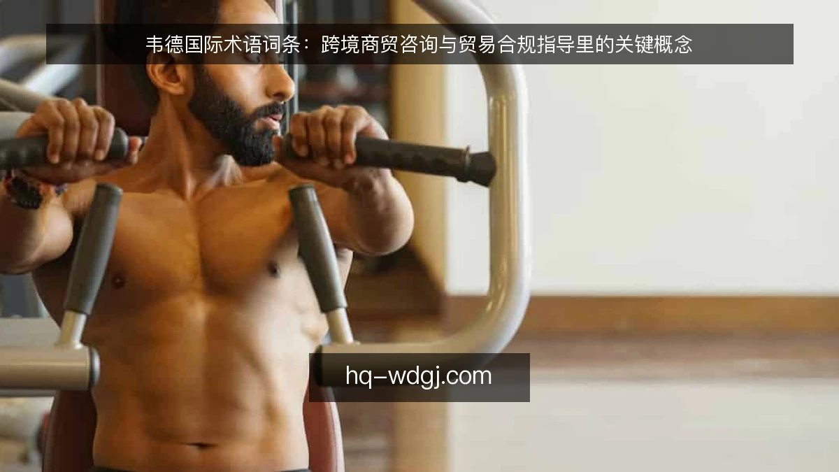 韦德国际术语词条:跨境商贸咨询与贸易合规指导里的关键概念