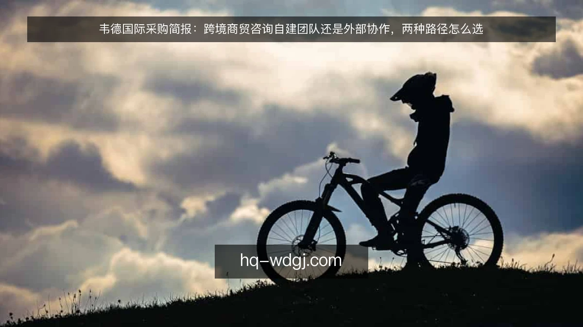 韦德国际采购简报：跨境商贸咨询自建团队还是外部协作，两种路径怎么选