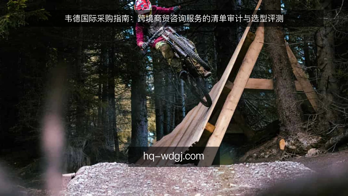 韦德国际采购指南:跨境商贸咨询服务的清单审计与选型评测
