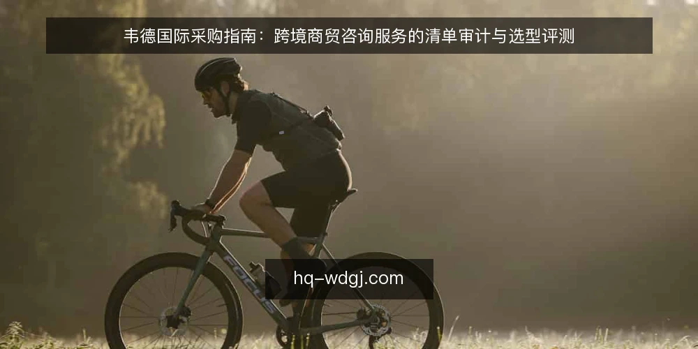 韦德国际采购指南:跨境商贸咨询服务的清单审计与选型评测 — 为什么现在要做一次采购清单审计 配图