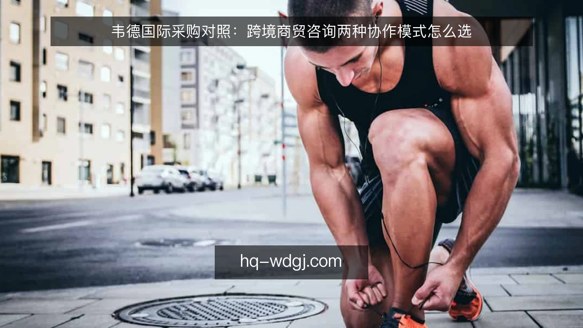 韦德国际采购对照：跨境商贸咨询两种协作模式怎么选