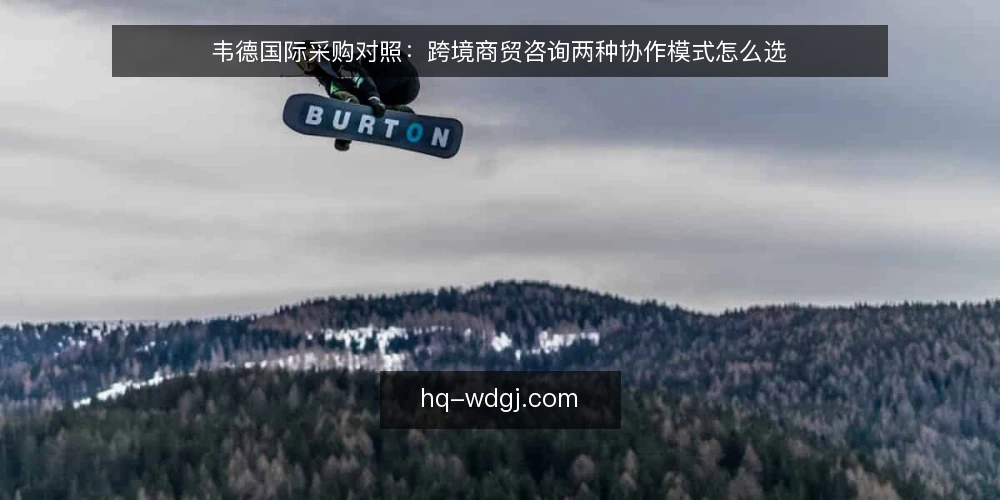 韦德国际采购对照：跨境商贸咨询两种协作模式怎么选 — 先定采购边界与决策标准 配图