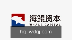 韦德国际